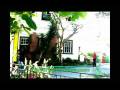 Bob Marley Museum Tour from TaverseJamaica.com