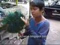 Kid speak in several languages