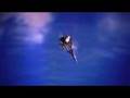 SUPERFLANKER! ...Nicely Edited video, Worth watching!