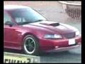 Raxa-Fusca-x-Mustang