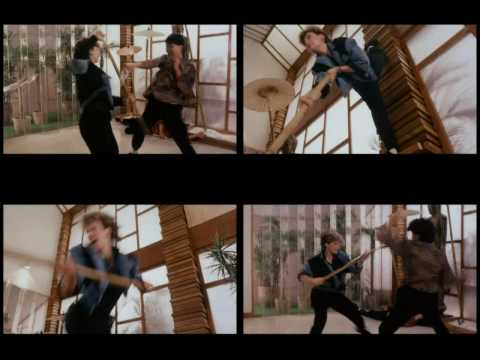 The best fight scences of Cynthia Rothrock See video