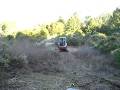 EX30 Flail Mulcher