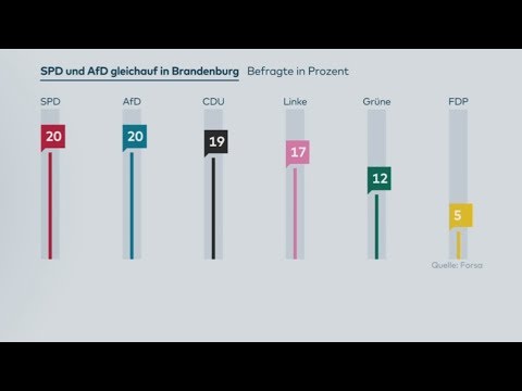 Brandenburg: SPD und AfD gleichauf - Grüne im Aufwi ...