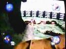 Crash Mania Worms - D-Day