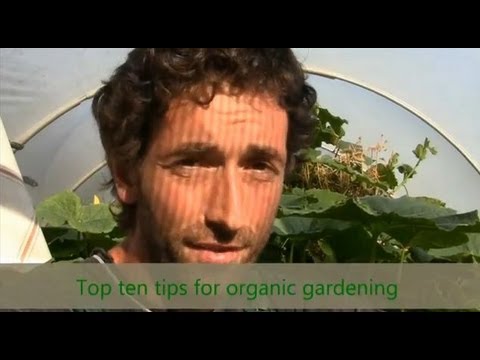 Garden tips - WEBSITE: http://heirloomseedsaving.com/ A step by step walk through, on how to set up your organic vegetable garden.