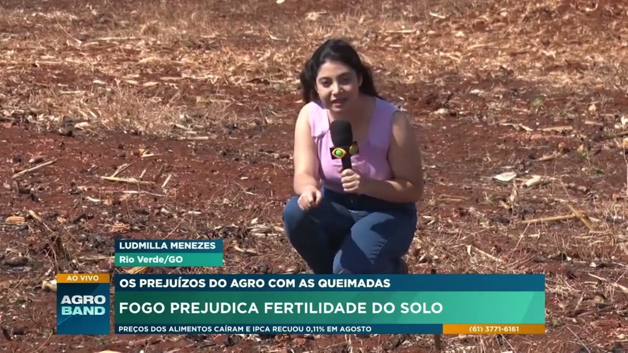 Os prejuízos do agro: fogo prejudica fertilidade do solo
