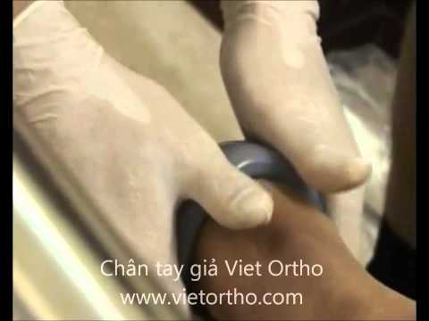 vietortho - 