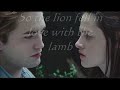 twilight dvd release twilight dvd release