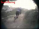 SantuRacing en la Vall d\