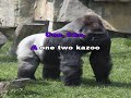 If I Were A Gorilla