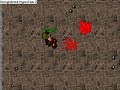 Tibia - Arena - Greenhorn level - Selena