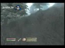 The race for deer!