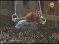Jordan Jovtchev Still Rings 2004