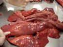 aparato respiratorio anatomia comparada ceu