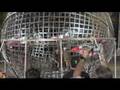The New Driver's Seat - SEMA Parties