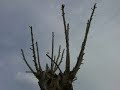 taxidi athina.wmv