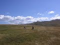 Kladovo polje