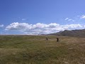 Kladovo polje