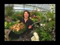Comox Valley Escape Video