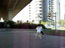 Yaletown Basketball