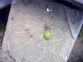 Slow motion smashing very cool!