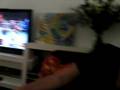 videos de assaf and yam boxing part 2