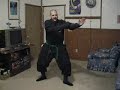 9-BUJINKAN TAIJUTSU UNARMED STANCES