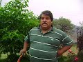 Click here to watch this video Testimonios del trabajo realizado por Mario Reyes Garcia