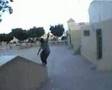 Pichi de almeria profile