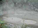 Bubbleing mud Near Waireka NZ