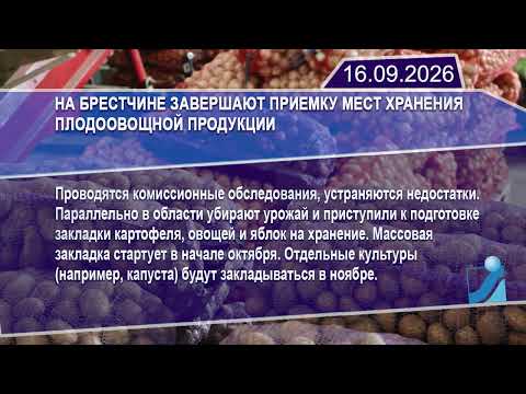 Новостная лента Телеканала Интекс 16.09.26.