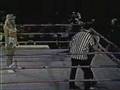 GLOW 1993 PPV: Party Animal vs. Babe the Farmer's Daughter