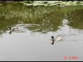 Shots of Wigan, Lancashire and it\ Shots of Wigan, Lancashire and it\