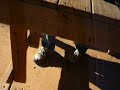 How NOT to shoot a flint lock pistol How NOT to shoot a flint lock pistol