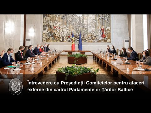 Președintele Maia Sandu a discutat cu președinții comitetelor pentru afaceri externe din cadrul Parlamentelor țărilor baltice