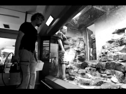 Ich bin ein Berliner - Robert Seuntjens, der Tierpfleger