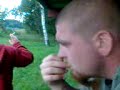 Autod:D