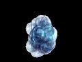 Aeons (DNA symmetry replication model)