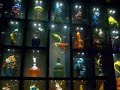 Museum of Glass trip Museum of Glass trip
