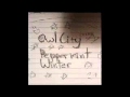 Owl City Peppermint Winter Video and Lyrics