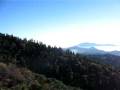 Sequoia Nataional Park