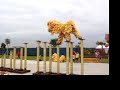 Chinese lion dance troupe