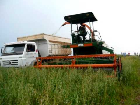 ensiladeira - ZS Maquinas industria de ensiladeira autopropelidas para colheita de milho,sorgo,aveia e azevem. Consulte-nos pelo fone (54)9657 1261 e (54)9977 5792 Sanandu...