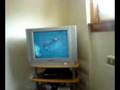 videos de Glitchy GTA 4 ... lol
