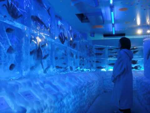 Ice Aquarium in Japan YouTube Preview Image