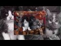 kerst 2010 Voor al mijn vrienden van 123 Video en Hyves gemaakt door Lotus Bo