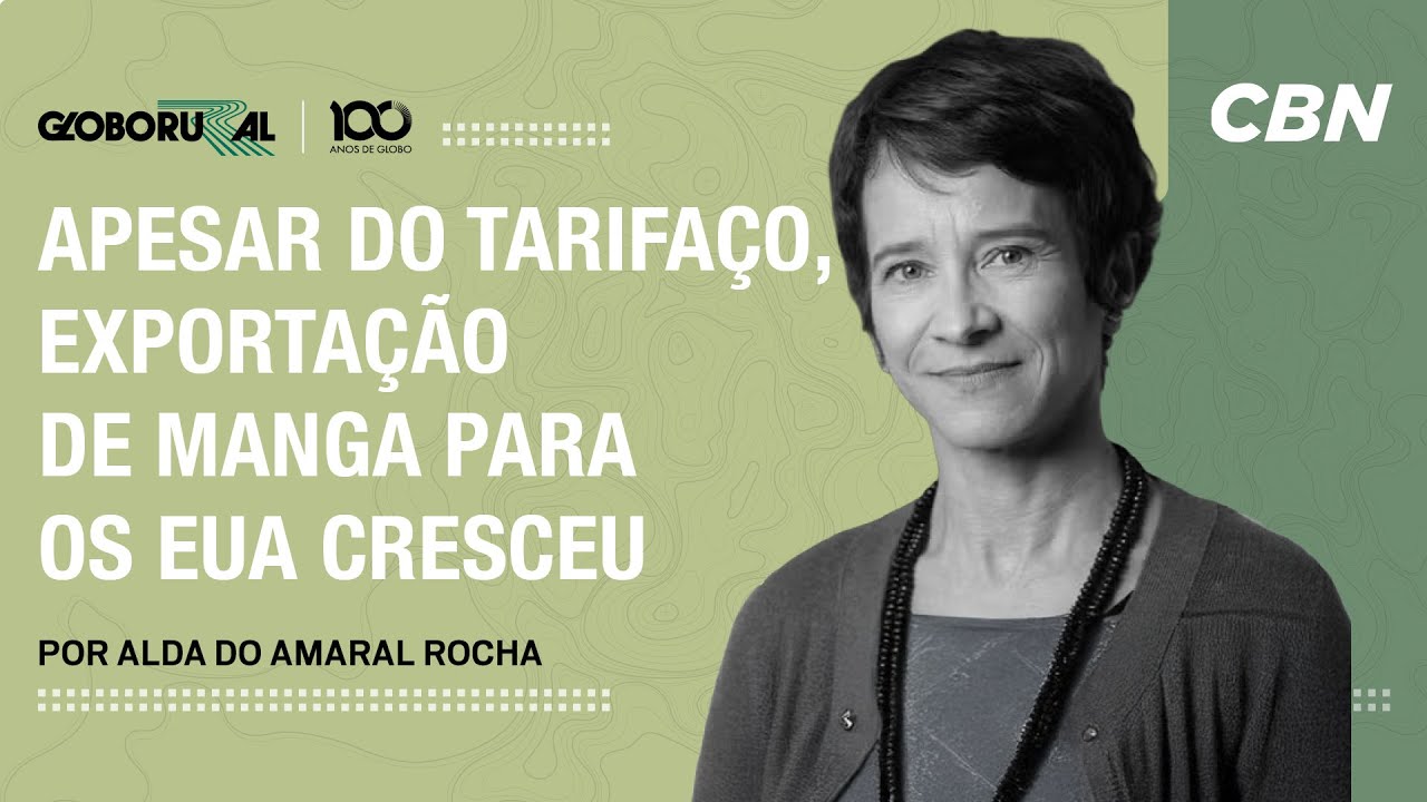 Apesar do Tarifaço, exportações de manga para os EUA cresceram | Globo Rural