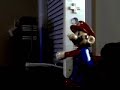 Mario Humps A Wii Remote.