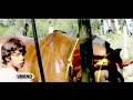 Umano-Camino de las cuadreras