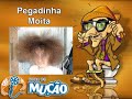 Mucao.com.br - Pegadinha - Moita